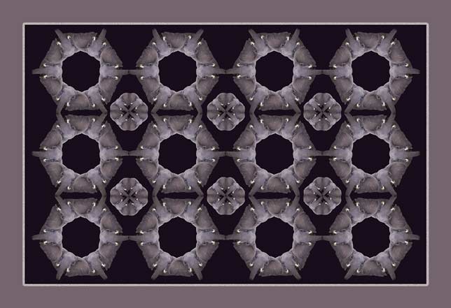 Elephant Gears