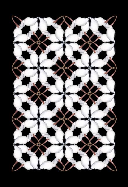 Ibis Lace