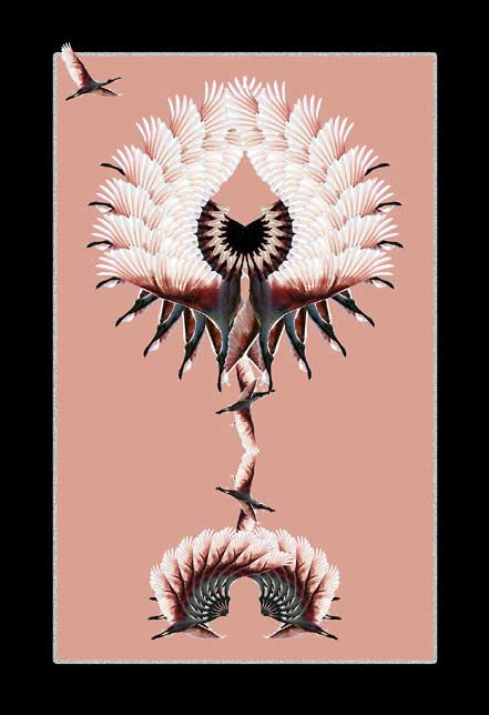 Spoonbill dancer