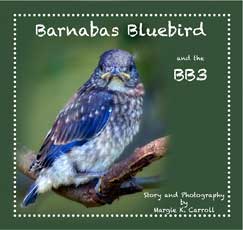 margie k carroll childrens books barnabas bluebird
